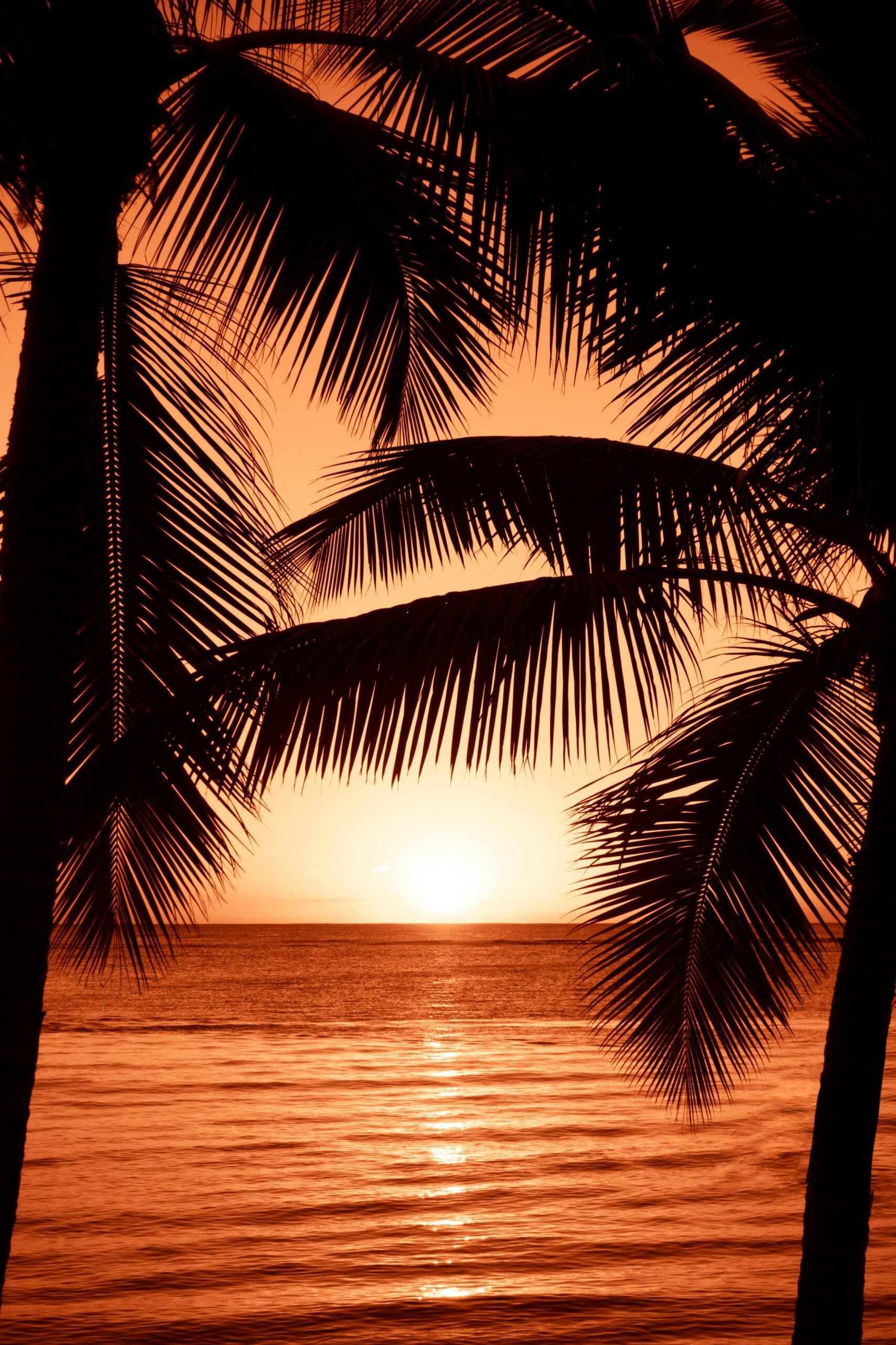 LUXE Jamaica